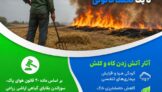 آتش زدن کاه و کلش؛ از یک عادت پرخطر تا یک تخلف قانونی